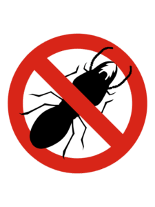 Termite Treatment Service