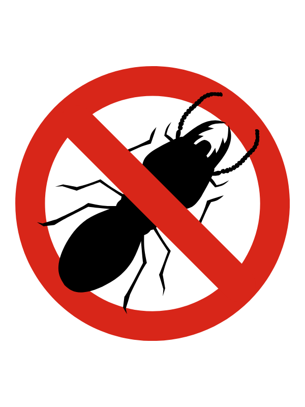 Termite Treatment Service