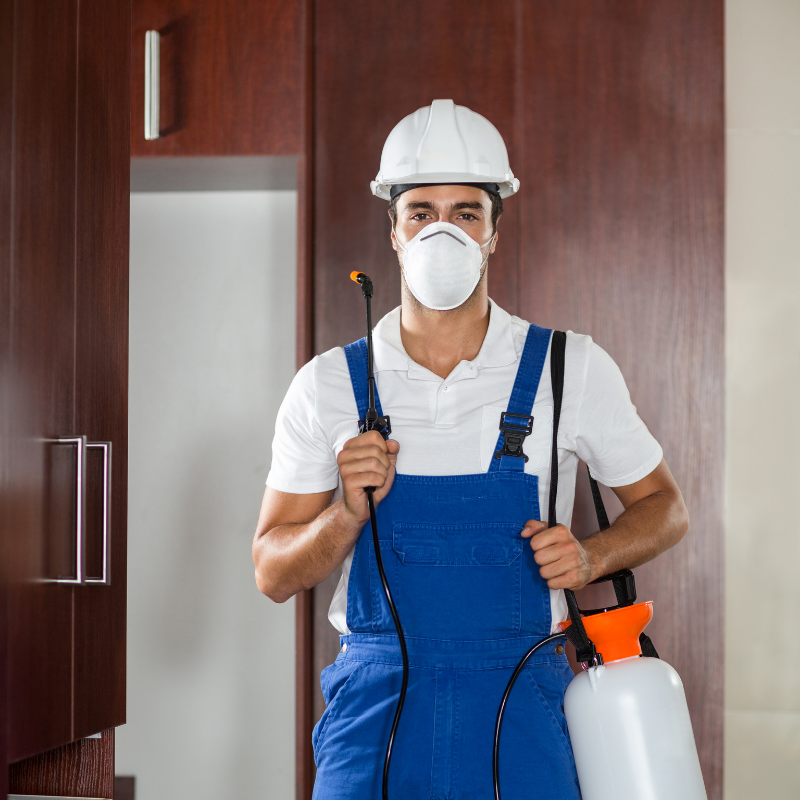 Harikrupa Multiservices pest control and cleaning team Nagpur