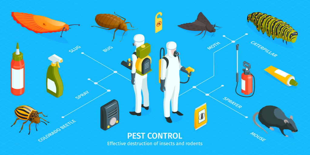 Isometric infographic showing common signs of a pest infestation at home